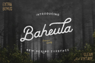 Baheula: A Handwritten Font for Authentic Branding