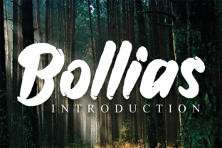 Bollias: A Handwritten Font for Modern Branding