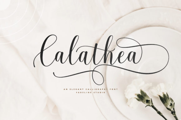 Calathea Font: Elevating Brand Identity with Elegant Script