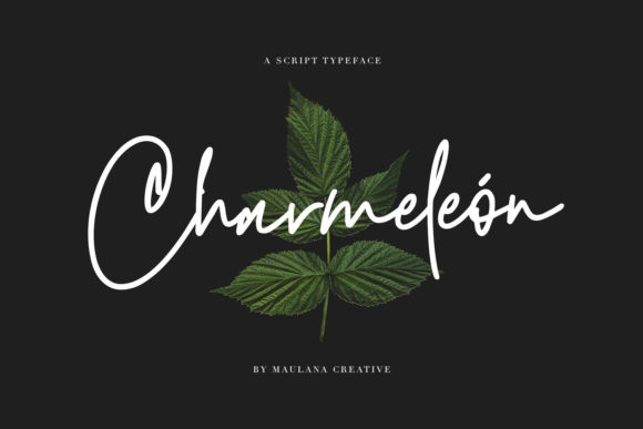 Charmeleon: A Handwritten Font for Clear Campaigns