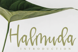 Halmuda Font: Elevating Campaign Visuals
